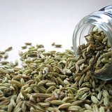 Fenchel